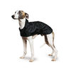Ancol Whippet Dog Coat Small 43cm