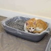 Cat Litter Tray by PetPlanet - Medium Grey