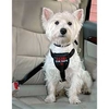 Clix Car Safe Harness - Small 20-25.5in