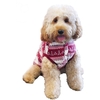 Cupid and Comet Super Soft Winter Fleece - Large