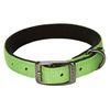 Graphite Collar Lime Zest 11inches