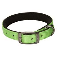 Graphite Collar Lime Zest 11inches