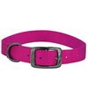 Graphite Collar Pink Fusion 11
