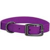 Graphite Collar Purple Jazz 11