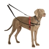 Halti Training Lead - Large