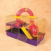 Noisette Prestige Kit for Small Animals
