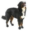 Pawz Dog Boots - XLarge Black 12 Pack