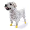Pawz Dog Boots - XX Small 12 pack