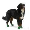 Pawz Dog Boots X Large 12 pack