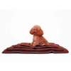 Replacement Pet Mat for Petplanet Dog Cage - Large 84x54cm