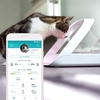 SureFeed Microchip Pet Feeder Connect & Hub Bundle