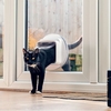 SureFlap Microchip Cat Flap Connect with Hub - W14 x H14cm
