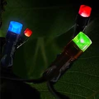 Kingfisher Solar String Light - Multi-Coloured - 50 LED