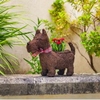 Smart Garden Scottie Dog Rattan Planter