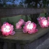 Smart Garden Solar Pink Rose String Light - 10 LED