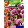 Taylors Autumn Bulbs Allium Sphaerocephalon Extra Value Pack - 75 bulbs