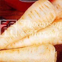 Vegetable Seeds - Parsnip White Gem