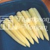 Vegetable Seeds - Sweetcorn Snowbaby