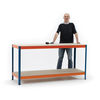 Economy Workbenches - Workbench - 300kg - 900 x 1800 x 600mm