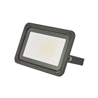 Biard LED Outdoor Floodlight Various Sizes 10-100W - 20W Biard New Generation Floodlight