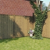 BillyOh 5ft x 6ft Pressure Treated Closeboard Fence Panel - 8 Panels - 40 FT
