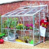 Eden Greenhouses - Silver Aluminium Lean to 6 x 10 Metal Greenhouse