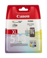 Genuine Colour Canon CL513 High Capacity Ink Cartridge 2971B001