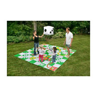 Giant Snakes and Ladders