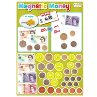 Magnetic Money