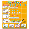 Star Chart - Large