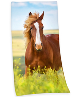 Horse Beach Towel