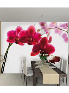 Orchid Wall Mural 2.32m x 3.15m