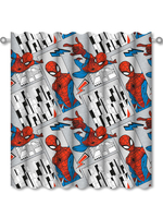 Spiderman Flight Curtains