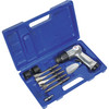 Sealey Air Hammer Kit with Chisels Medium Stroke 4cfm