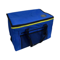 24L 48 Can Insulated Cooler bag with Handles and Shoulder strap. Picnics,  Beach,  Travel etc. - Blue