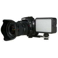 7dayshop LED Modelling Light for DSLR,  Video and Camcorder Uses - 135 x LED Model