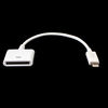 7dayshop Lightning 8 to 30 Pin Adapter Cable - White for Apple iPhone 5,  iPad Mini,  iPad 4,  iPod Touch (5th Generation),  iPod Nano (7th Generation)