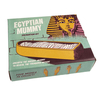 Rex London Egyptian Mummy Archaeologists Excavation Kit