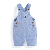 Blue Stripe Baby Dungarees