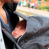 Cocoon Carrier Cover