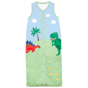 Dinosaur Appliqué Toddler Sleeping Bag