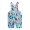 Dinosaur Print Baby Dungarees