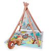 Skip Hop Camping Cubs Gym