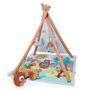 Skip Hop Camping Cubs Gym