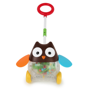 Skip Hop Explore and More Owl Push Toy