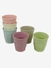 Zuperzozial Cupful of Colour Dawn