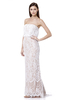 Adeline All Over Lace Bandeau Maxi Dress