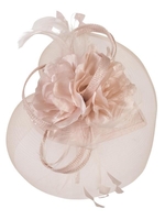Pink Mesh Net Fascinator