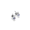 Stud Earrings with Blue Stone Settings