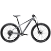 2019 Trek Roscoe 8 Hardtail Mountain Bike in Gret